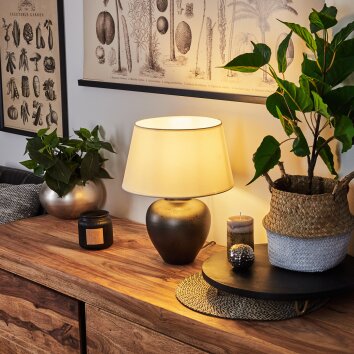 TAPONA Table lamp dark brown, matt nickel, 1-light source