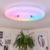 PAGE Ceiling Light LED white, 2-light sources, Remote control, Colour changer