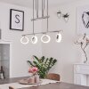 GLOBINE Pendant Light LED chrome, 4-light sources