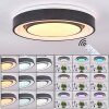 PAGE Ceiling Light LED black, white, 2-light sources, Remote control, Colour changer