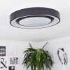 PAGE Ceiling Light LED black, white, 2-light sources, Remote control, Colour changer