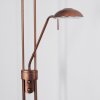 HEURU Floor Lamp LED bronze, 2-light sources