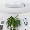 BURIS Ceiling Light LED silver, 1-light source, Remote control