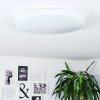 WEESEN Ceiling Light LED white, 1-light source, Motion sensor