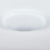 WEESEN Ceiling Light LED white, 1-light source, Motion sensor