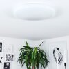 WEESEN Ceiling Light LED white, 1-light source, Motion sensor
