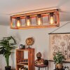BRUGG Ceiling Light brown, black, 4-light sources