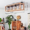 BRUGG Ceiling Light brown, black, 4-light sources