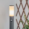 CASERTA path light anthracite, 1-light source, Motion sensor
