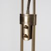 ROM Floor Lamp LED antique brass, 2-light sources