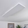 BUENAVENTURA Ceiling Light LED white, 1-light source, Remote control, Colour changer