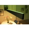 Philips HUE WHITE & COLOR AMBIANCE ENSIS Pendant Light LED black, 2-light sources, Colour changer