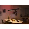 Philips HUE WHITE & COLOR AMBIANCE ENSIS Pendant Light LED black, 2-light sources, Colour changer
