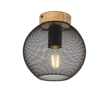Globo PABLO Ceiling Light black, 1-light source