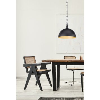 Fischer-Honsel LEITUNG Pendant Light black, 1-light source
