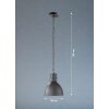 Fischer-Honsel THOR Pendant Light black, 1-light source