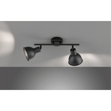 Fischer-Honsel SPEEDY Ceiling Light black, 2-light sources