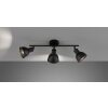 Fischer-Honsel SPEEDY Ceiling Light black, 3-light sources