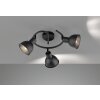 Fischer-Honsel SPEEDY Ceiling Light black, 3-light sources