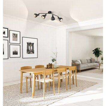 Fischer-Honsel SPEEDY Ceiling Light black, 4-light sources
