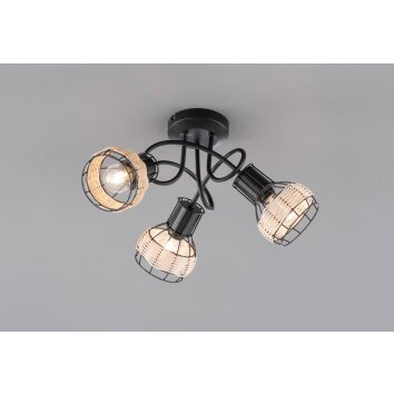 Fischer-Honsel STRAW Ceiling Light black, 3-light sources