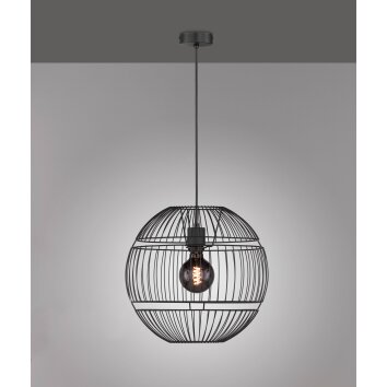 Fischer-Honsel DROPS Pendant Light black, 1-light source