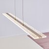 Nibe Pendant Light LED matt nickel, 1-light source