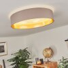 Elsa Ceiling Light LED white, 1-light source