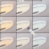 CHAM Ceiling Light LED chrome, white, 2-light sources, Remote control, Colour changer