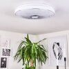 CHAM Ceiling Light LED chrome, white, 2-light sources, Remote control, Colour changer