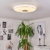 CHAM Ceiling Light LED chrome, white, 2-light sources, Remote control, Colour changer