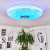 CHAM Ceiling Light LED chrome, white, 2-light sources, Remote control, Colour changer