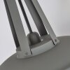 CHIMAY Pendant Light grey, 1-light source