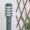CASERTA path light anthracite, 1-light source, Motion sensor