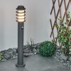 CASERTA path light anthracite, 1-light source, Motion sensor