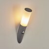 CASERTA Outdoor Wall Light anthracite, 1-light source, Motion sensor