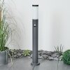 SESSA path light anthracite, 1-light source, Motion sensor