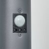 TUNES path light anthracite, 1-light source, Motion sensor