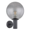 Globo HEDWIG Outdoor Wall Light anthracite, 1-light source