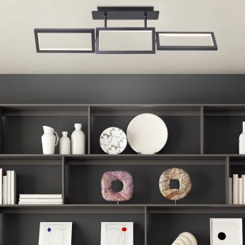 Brilliant RANUT Ceiling Light LED black, 3-light sources