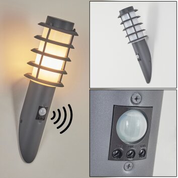 TUNES Outdoor Wall Light anthracite, 1-light source, Motion sensor