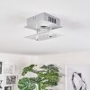 LIESTAL Ceiling Light LED matt nickel, 1-light source