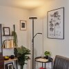BUSSWIL Floor Lamp LED black, 2-light sources