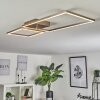 DOYON Ceiling Light LED matt nickel, 1-light source