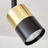 NEFTENBACH Ceiling Light brass, black, 4-light sources
