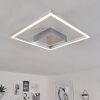 BUREN Ceiling Light LED matt nickel, 1-light source