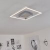 BUREN Ceiling Light LED matt nickel, 1-light source