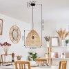 ZOFINGEN Pendant Light black, 1-light source