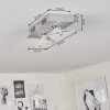 LIESTAL Ceiling Light LED matt nickel, 2-light sources