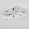 LIESTAL Ceiling Light LED matt nickel, 2-light sources